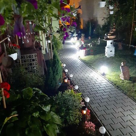 Апартаменты Casa Elena Сигишоара Экстерьер фото
