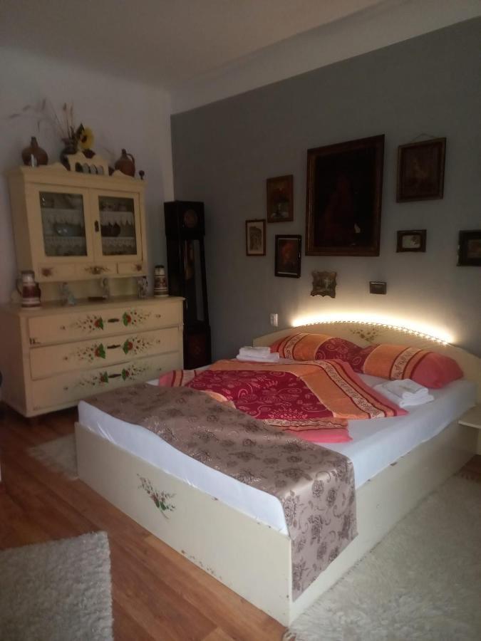 Апартаменты Casa Elena Сигишоара Экстерьер фото