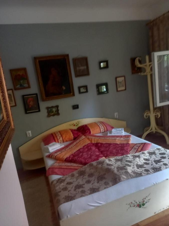 Апартаменты Casa Elena Сигишоара Экстерьер фото