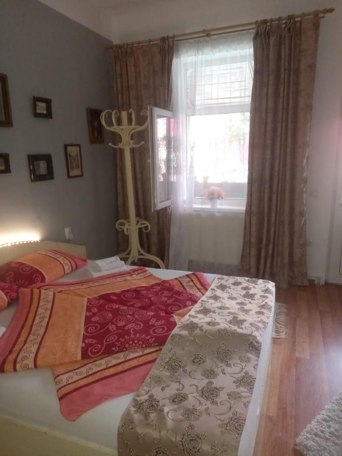 Апартаменты Casa Elena Сигишоара Экстерьер фото